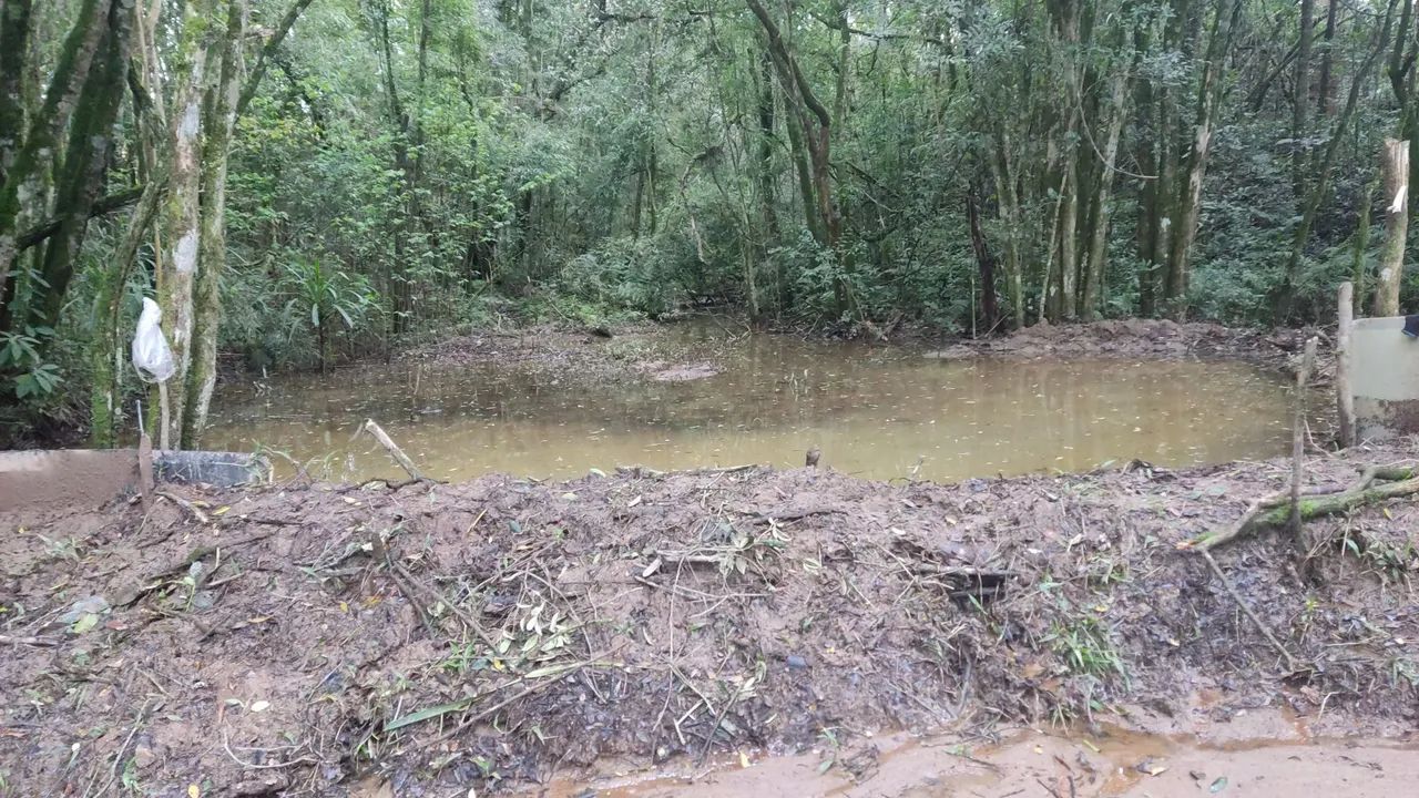 Laranjal - Foto 5