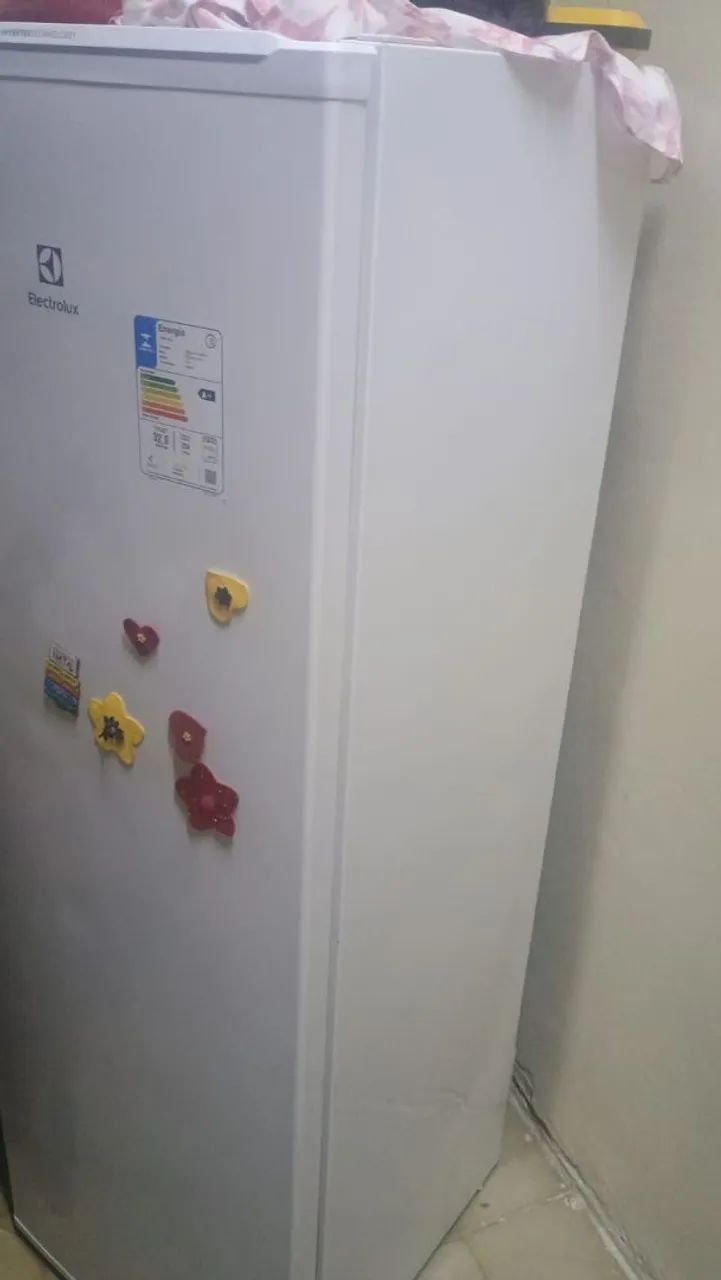 Freezer Vertical Electrolux 234\ L Perfeito - Foto 3