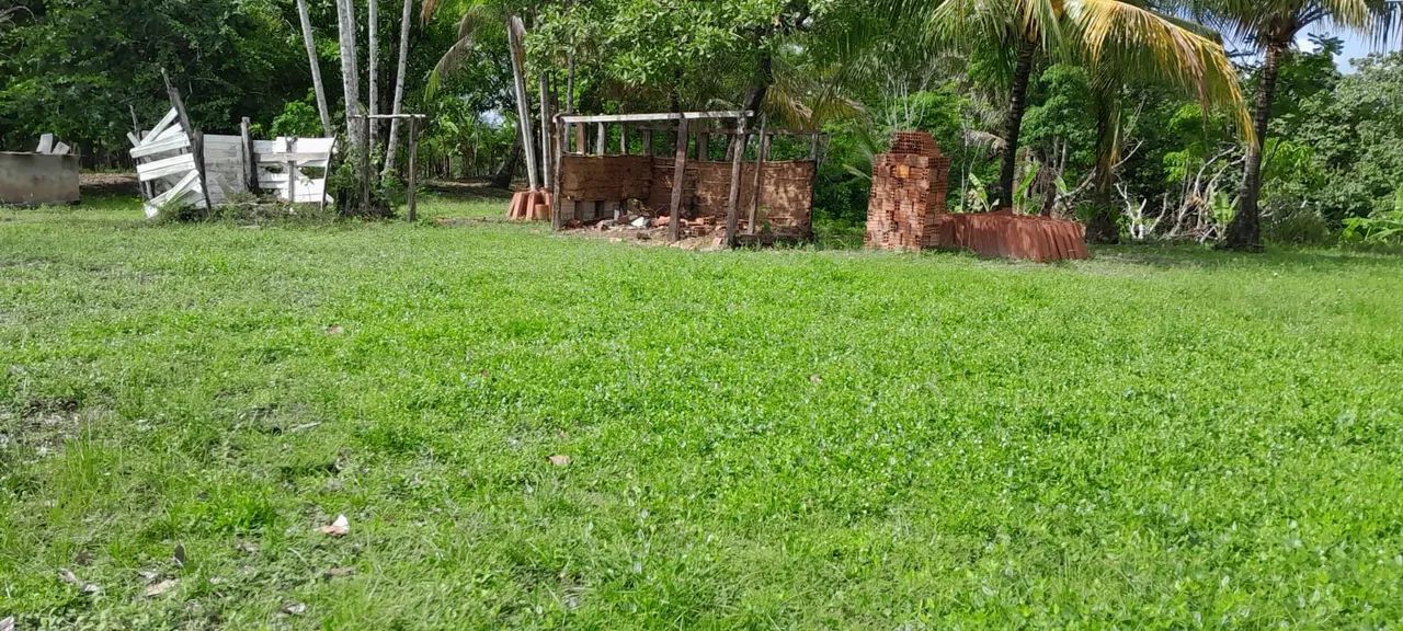 Vendo terreno com casa  - Foto 4