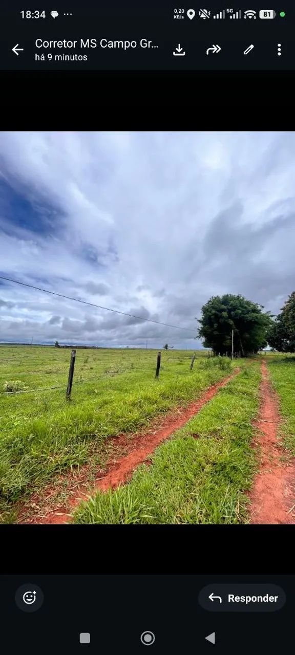 Fazenda de arrendamento 1.000 nova alvorada do sul MS. - Foto 4