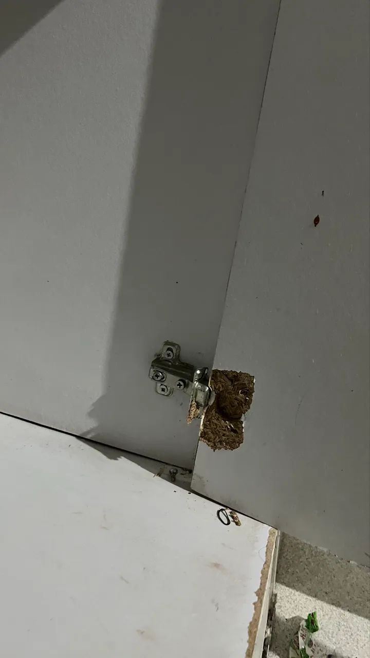 Guarda-Roupa de Casal Branco (6 Portas) - Foto 3