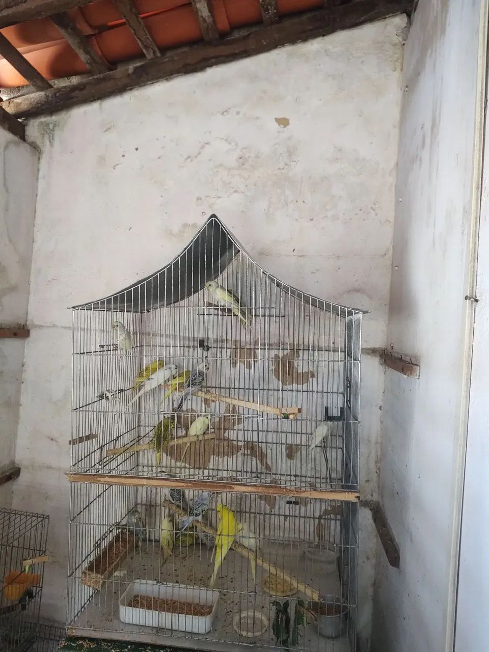 Vende-se - Foto 2