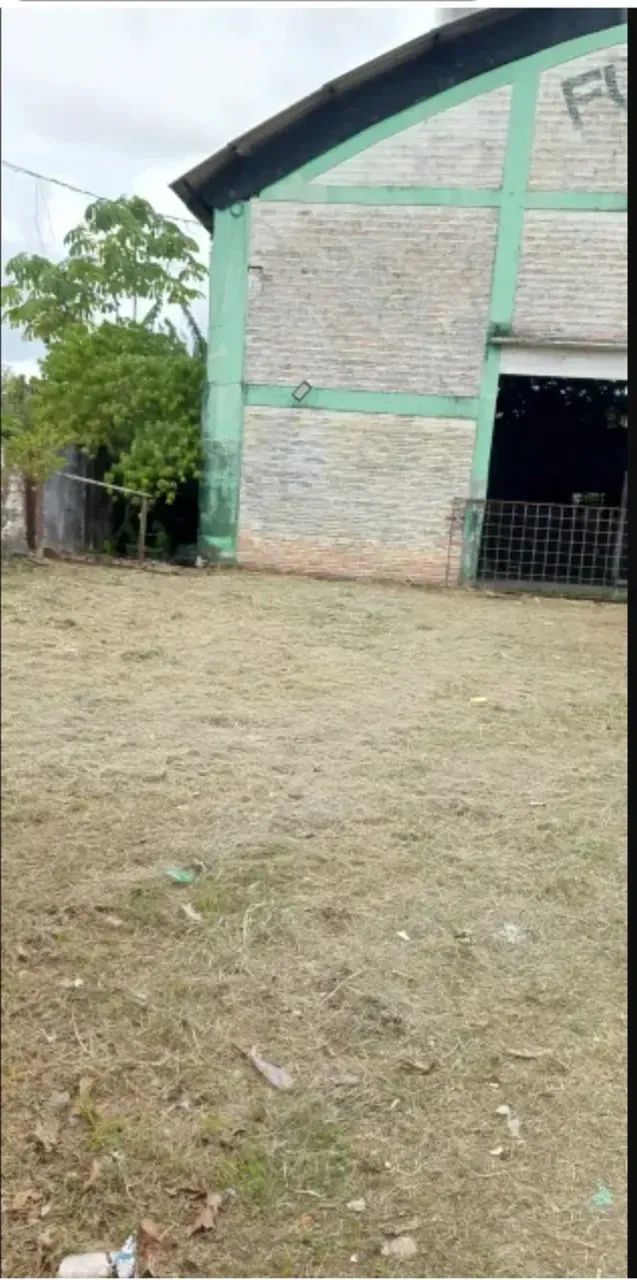 VENDO EXCELENTE ÁREA COM GALPAO NO TAPANÃ - Foto 4