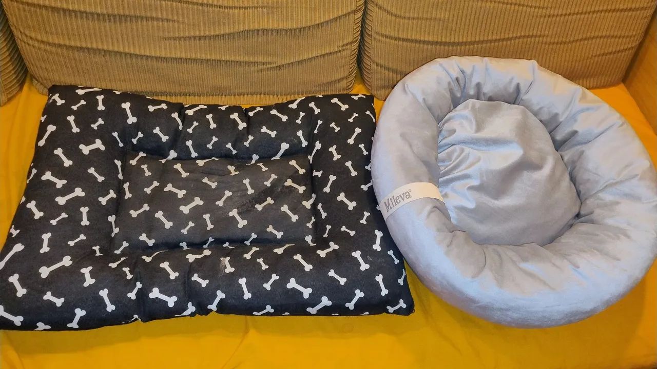 Pets Caminhas  - Foto 3