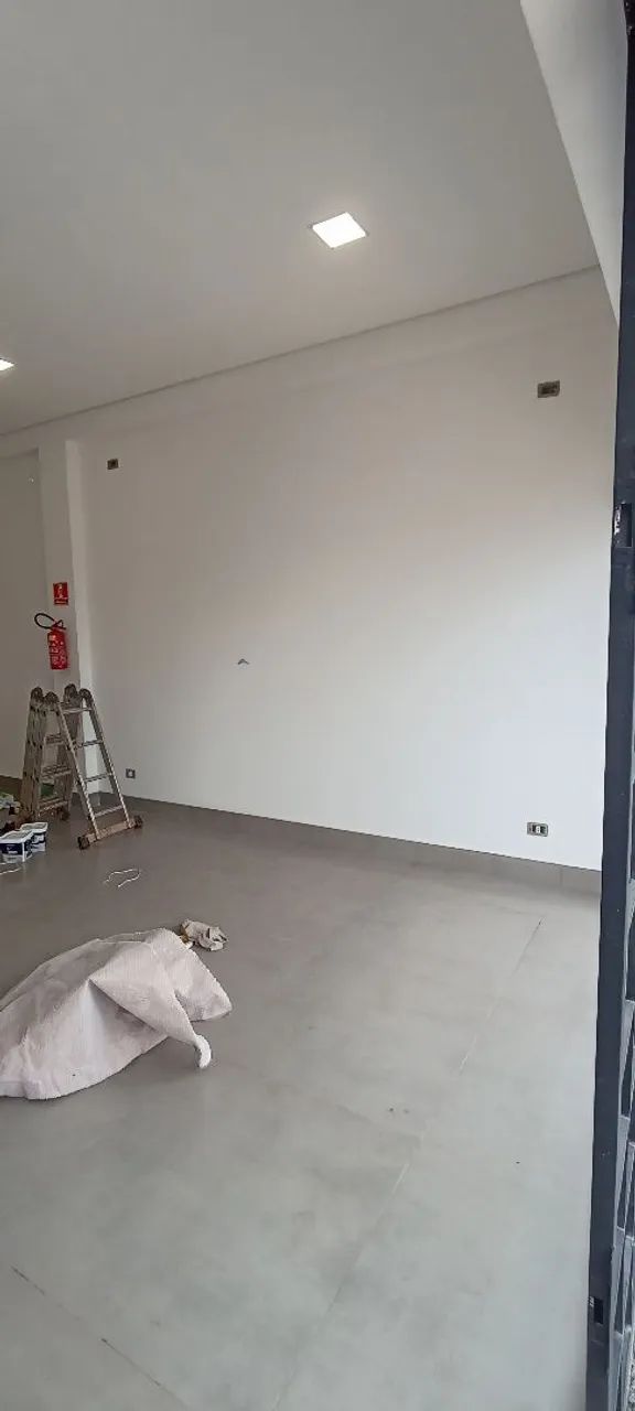 Pintor Profissional 