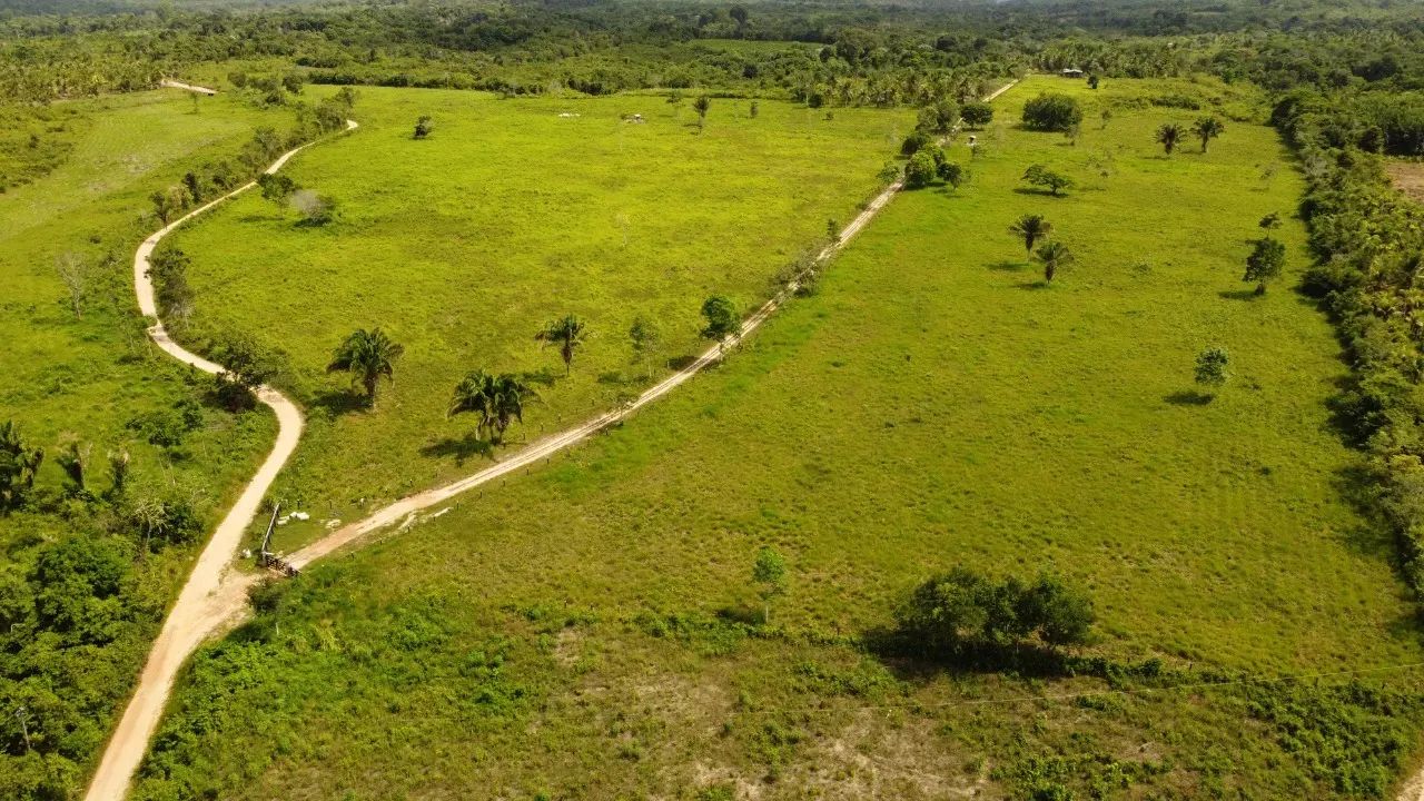 Fazenda na PA 140 - Foto 4