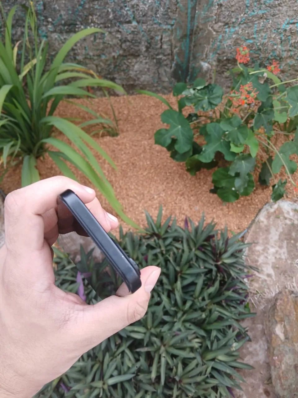 iPhone 15 - Foto 4