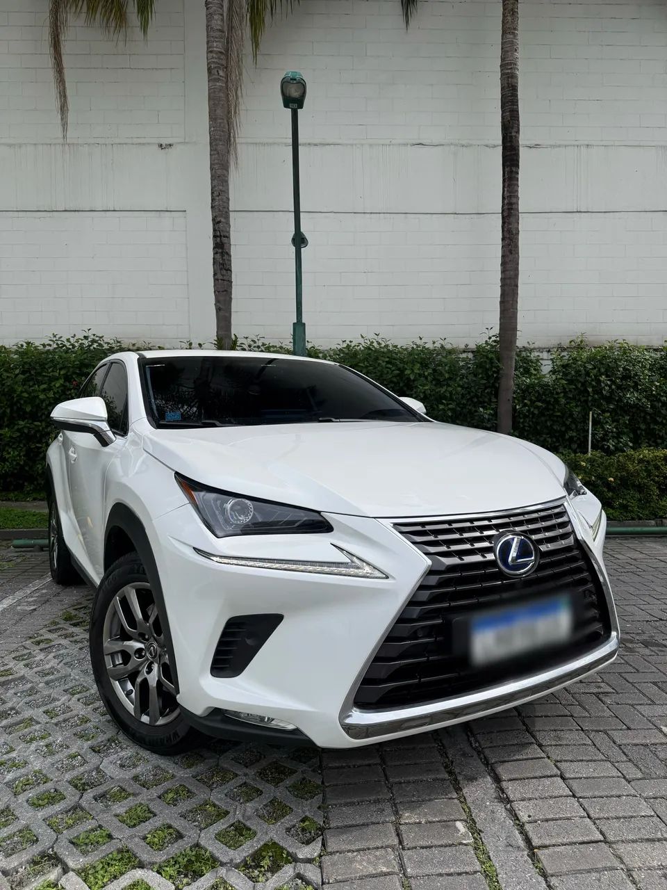 Lexus Nx-300 NX-300h Dynamic 4x4 2.5 16V Aut. (Híb.) 2019