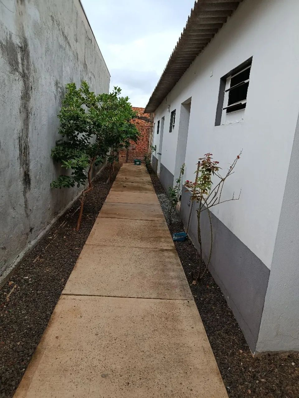 Foto - Campo Grande - Jardim Imá