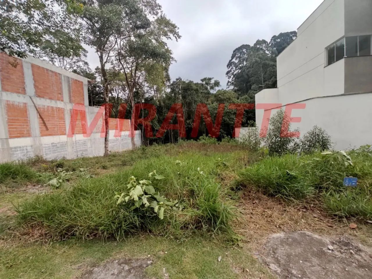 Terreno em Palmas Do Tremembé - Foto 3