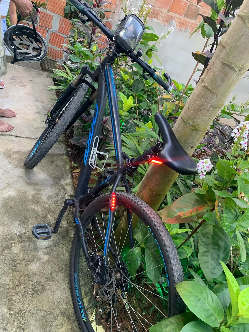 Bicicleta