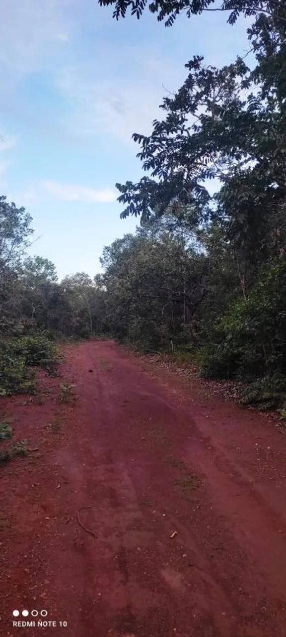 Fazenda para Venda em Monte Santo do Tocantins - Foto 2