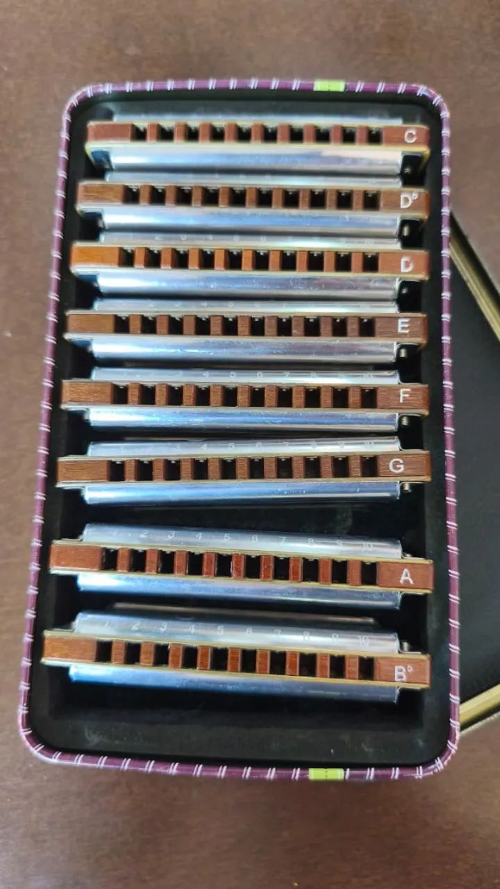 kit 8 gaitas bends juke harmonica diatonica corpo madeira - Foto 2