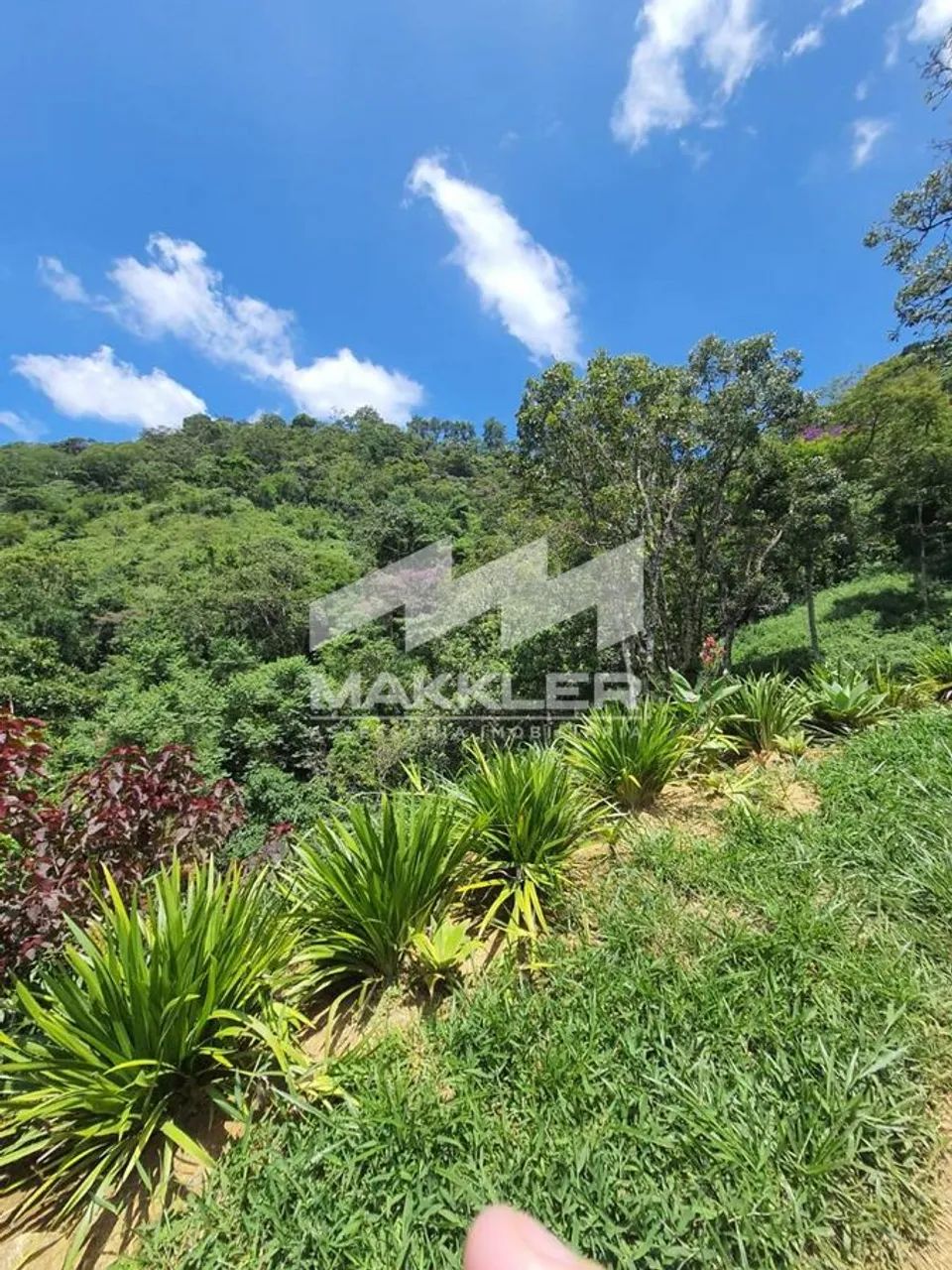 SÍTIO EM ITATIAIA COM 48.400 M2 - Foto 5