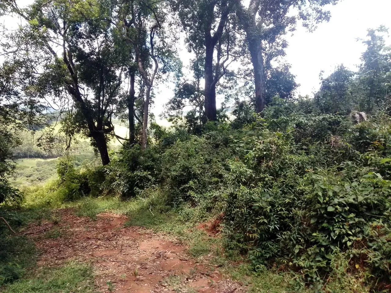 terreno 21 mil m2 com água. em Joanópolis SP - Foto 3
