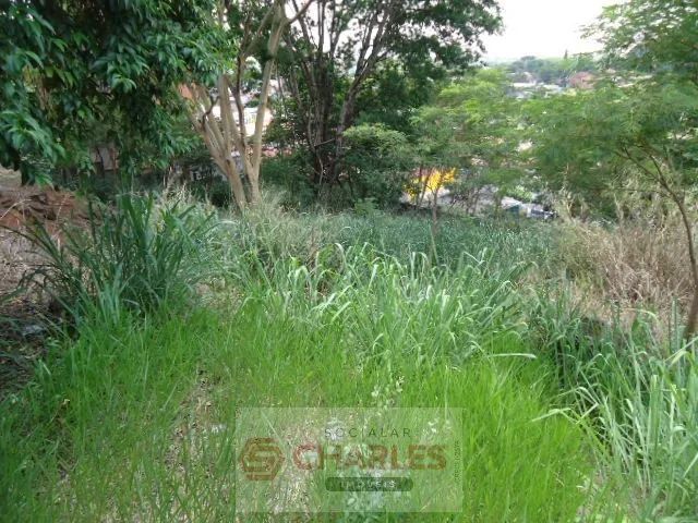 Terreno Para Venda MORRO DO OURO MOGI GUACU - Foto 4