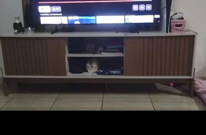 Rack para tv - Foto 2