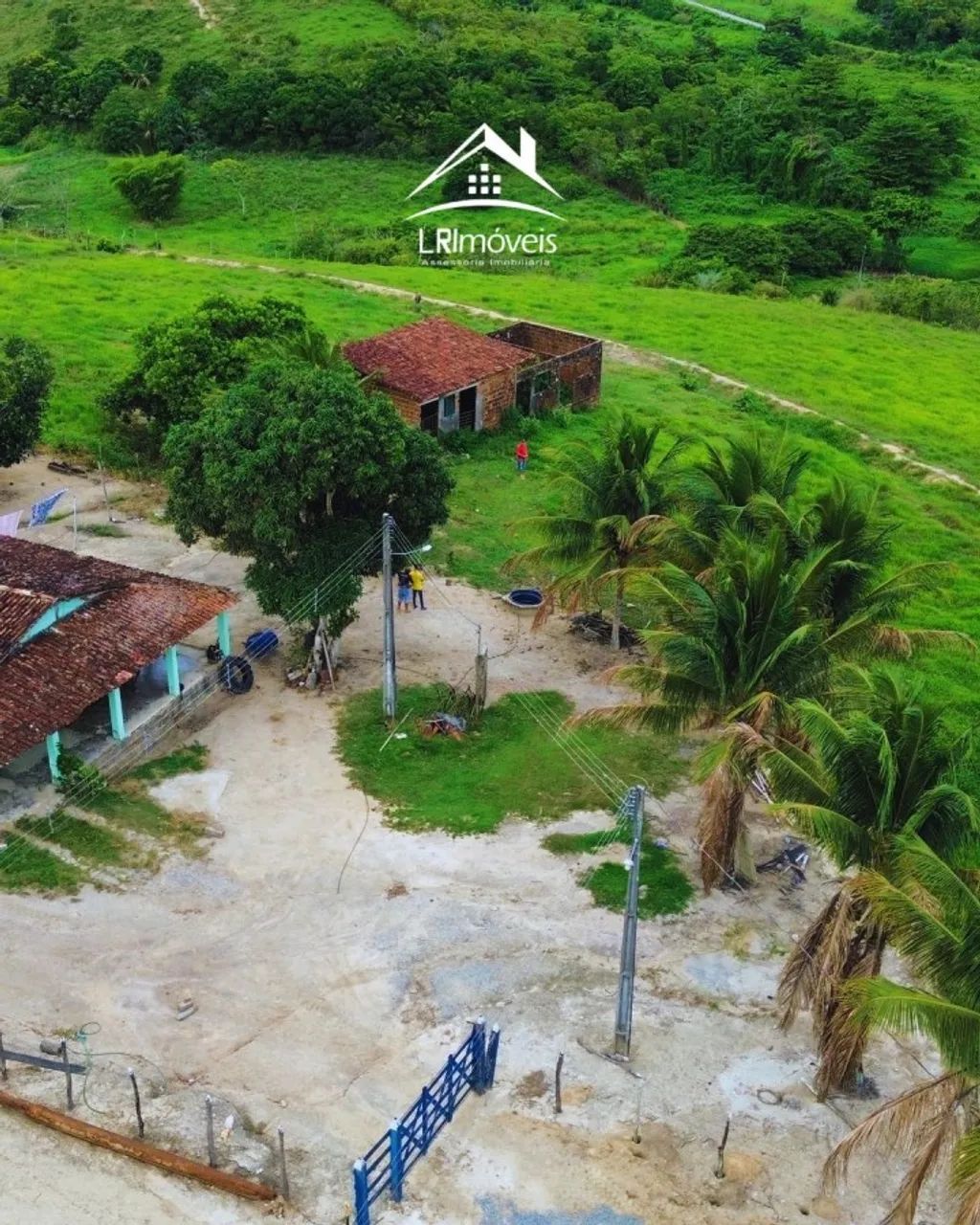 Sítio para Venda em Flexeiras, Zona Rural - Foto 2