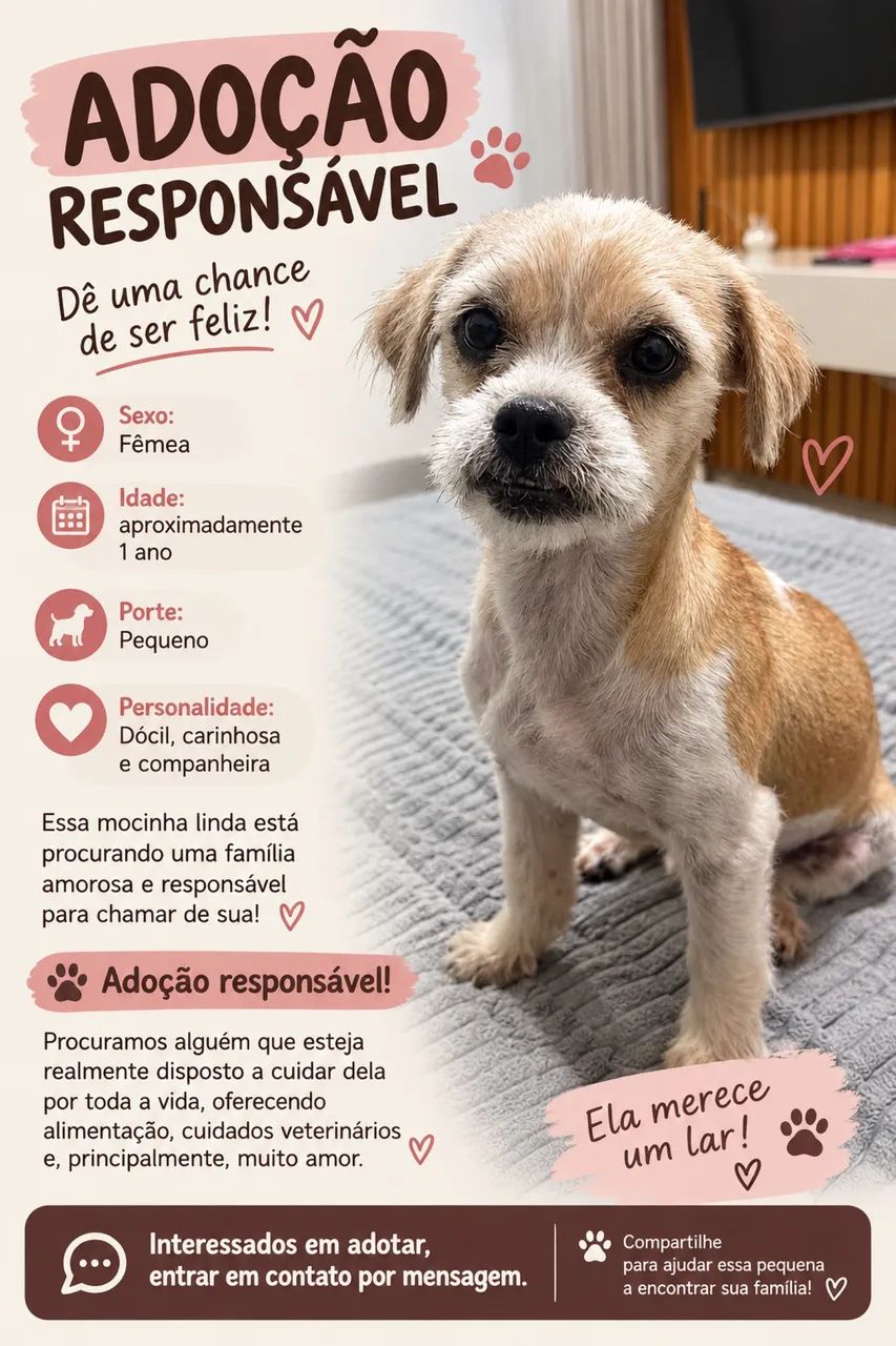 Adoção responsável 