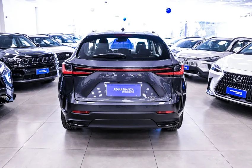 Lexus NX-350h Luxury 2.5 16V Aut. (hybrid), foto 8 de 19