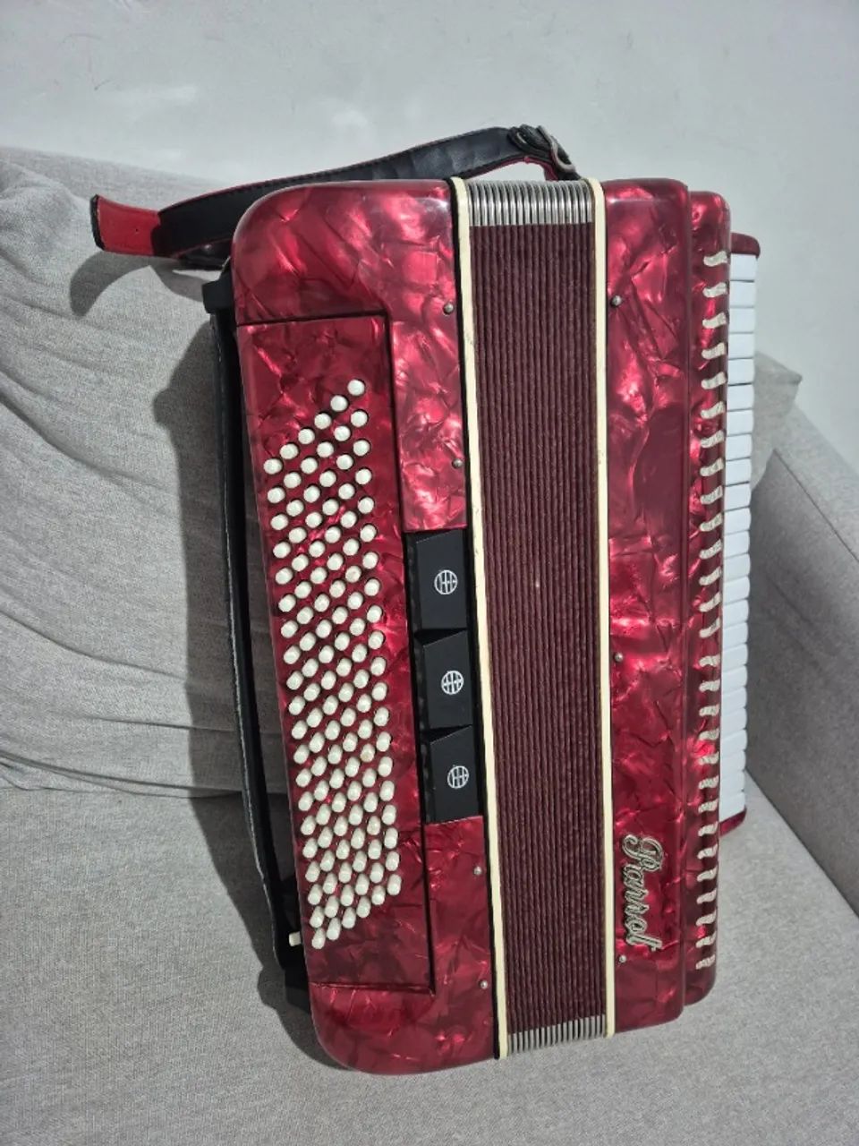 Sanfona 120 baixos com bag - Foto 3