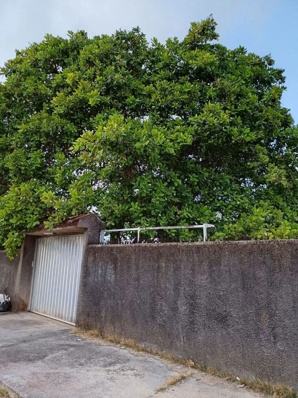 Casa de Praia em Enseada dos Corais 