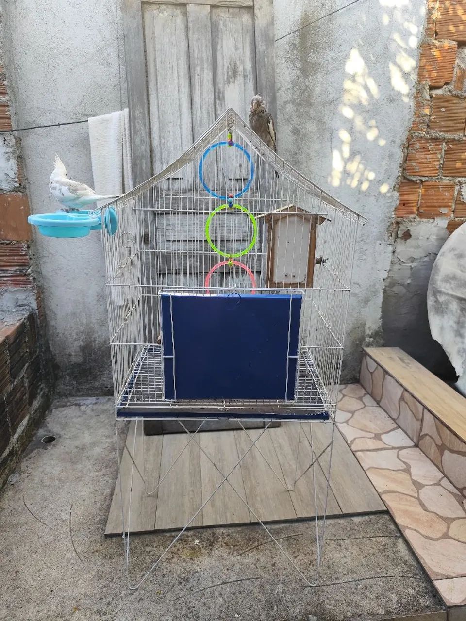 Gaiola  - Foto 5