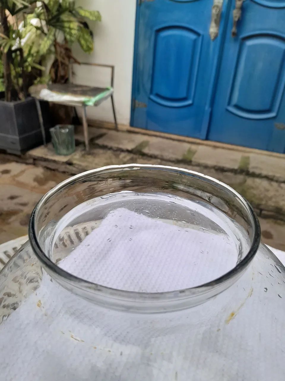 Bela Cúpula de Vidro Transparente  - Foto 3