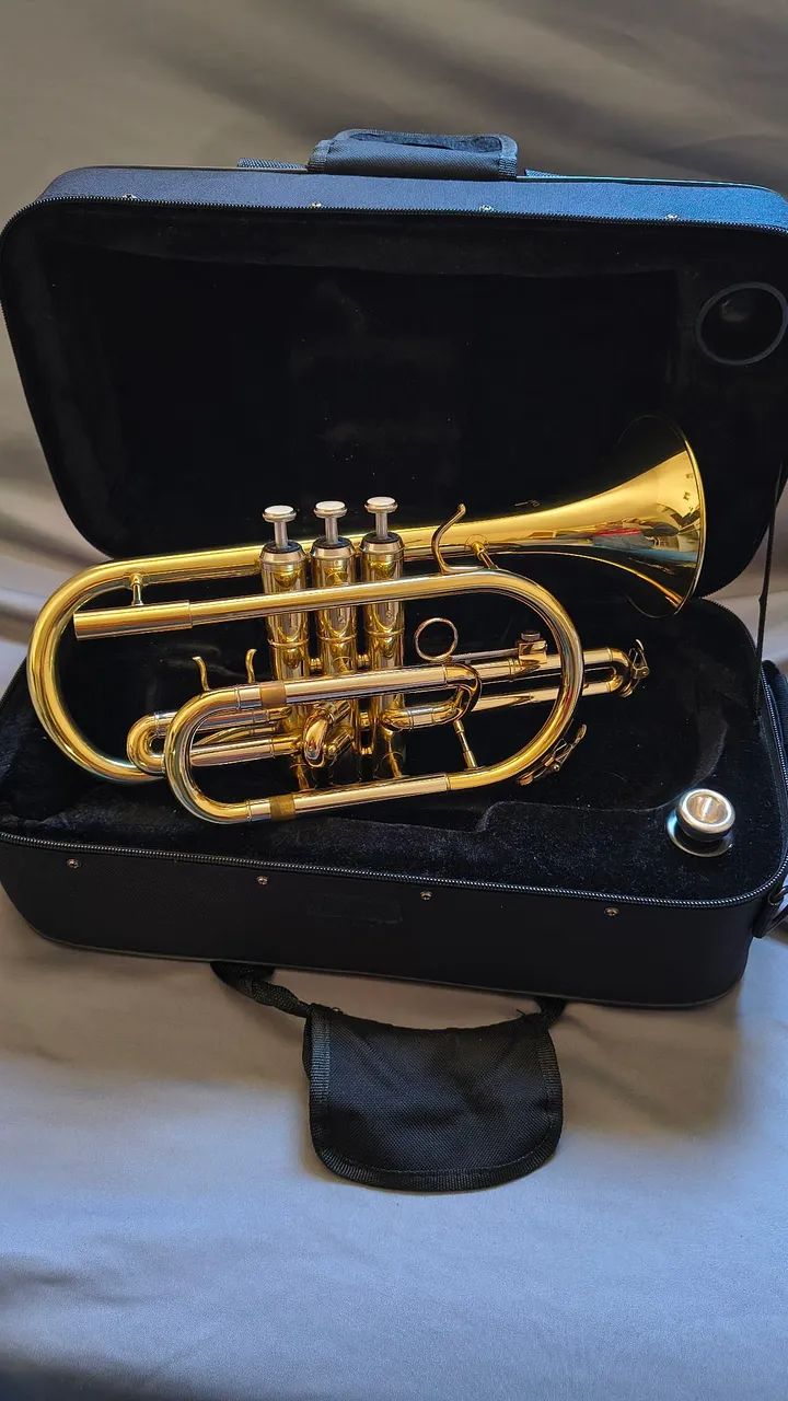 Cornet Dasons  - Foto 2