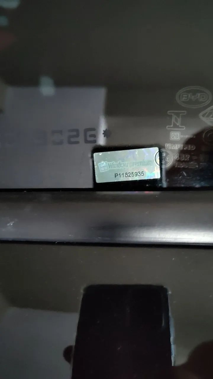 BYD Dolphin EV (Elétrico) 2024 - Foto 4