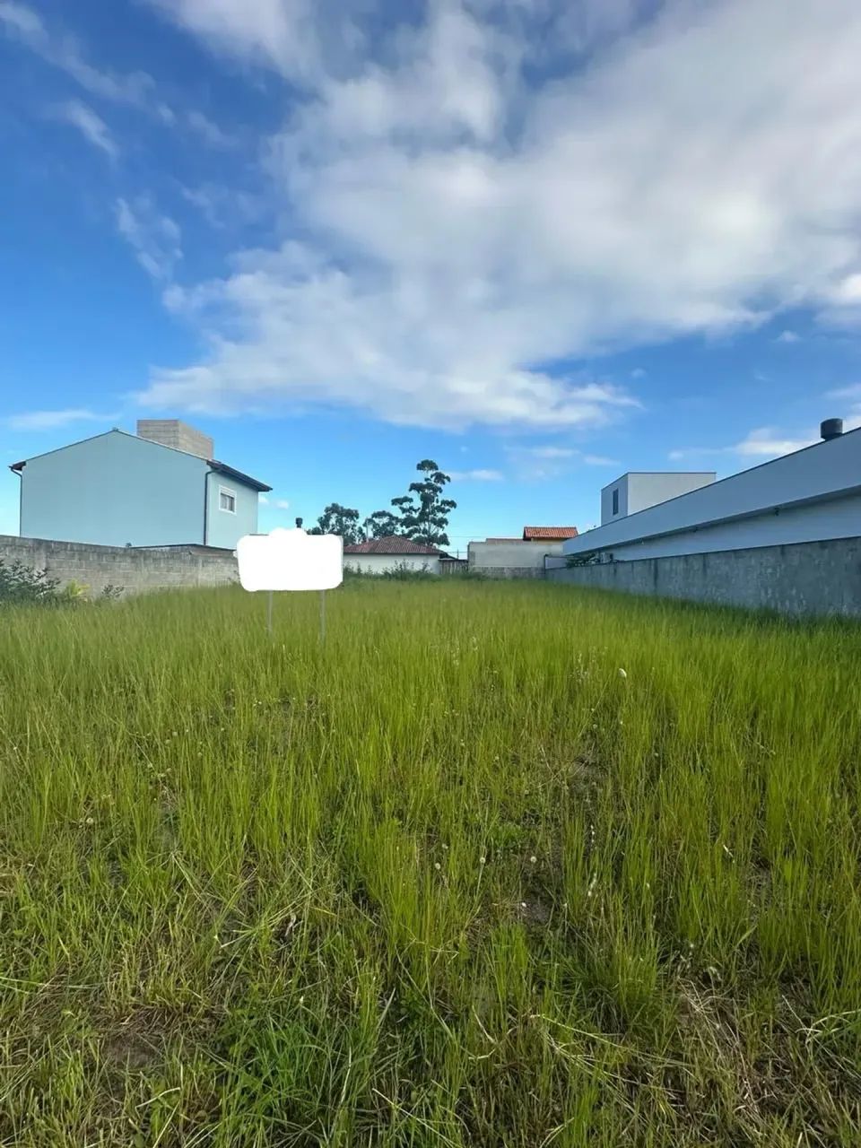 Excelente terreno com Escritura Pública Norte da Ilha - Foto 3
