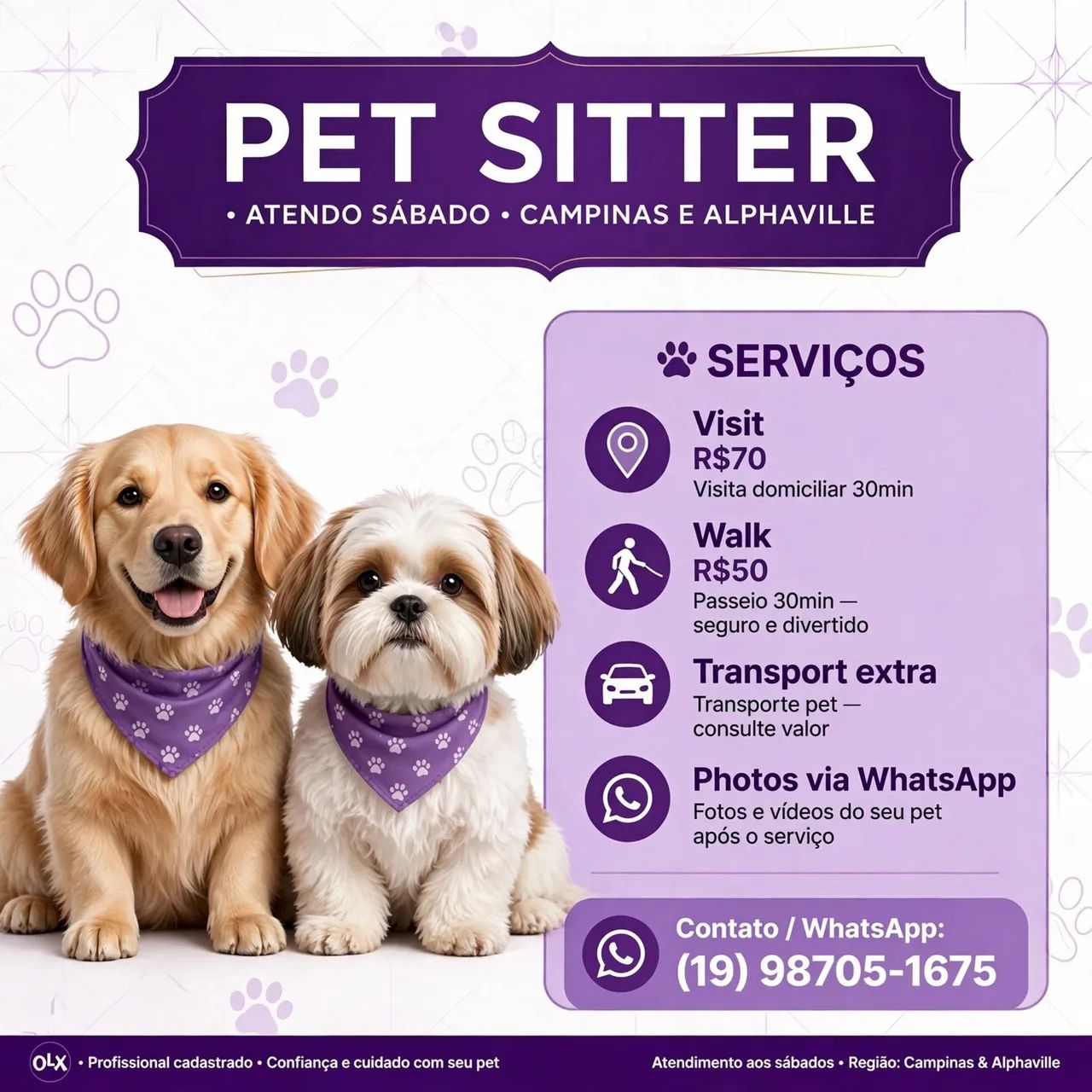 Pet Sitter e Passeadora Atendo Sábado em Campinas e Alphaville 
