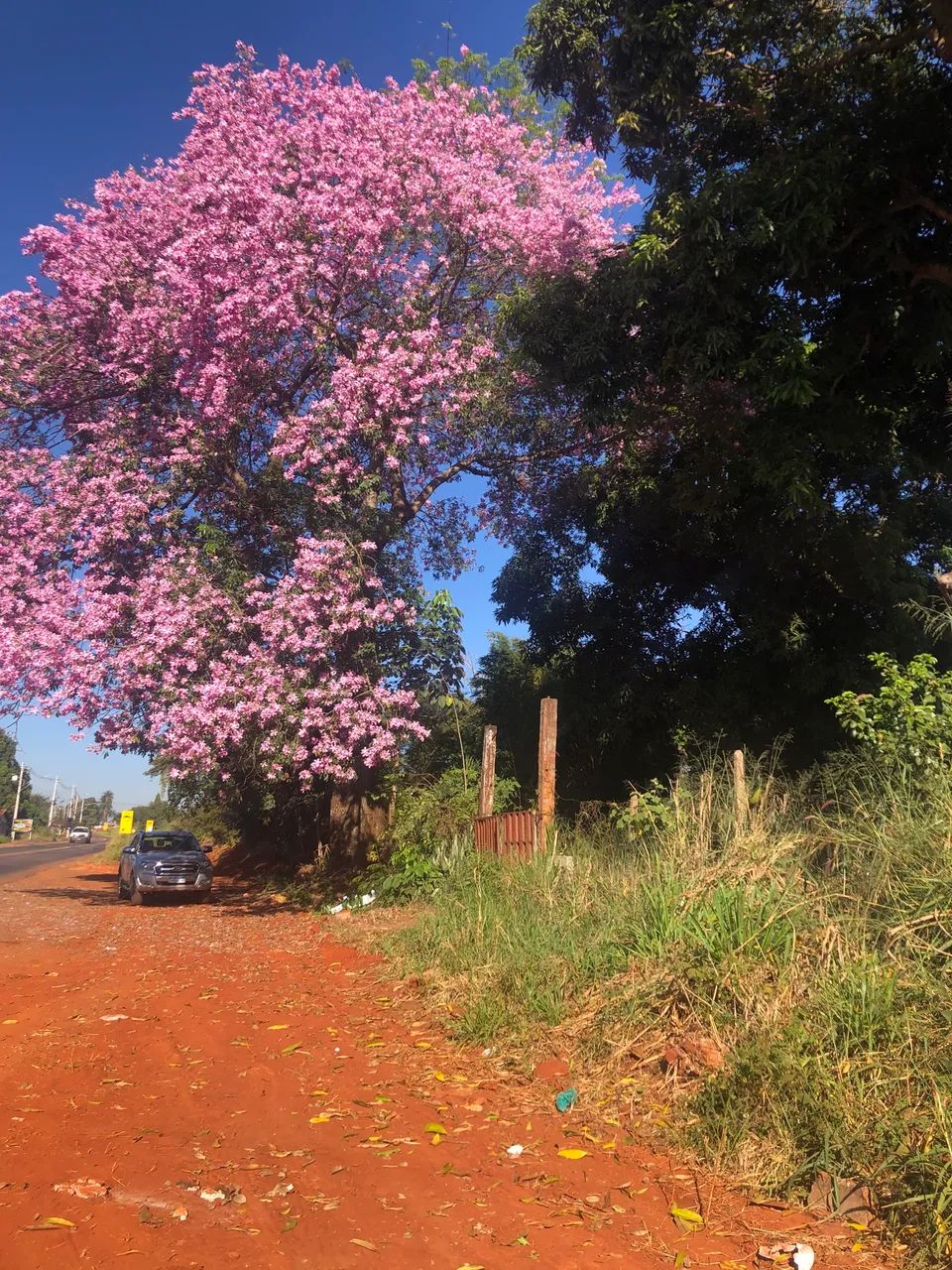 Área comercial com 1.000 mt2 GO 469 Trindade/Goianira  - Foto 2