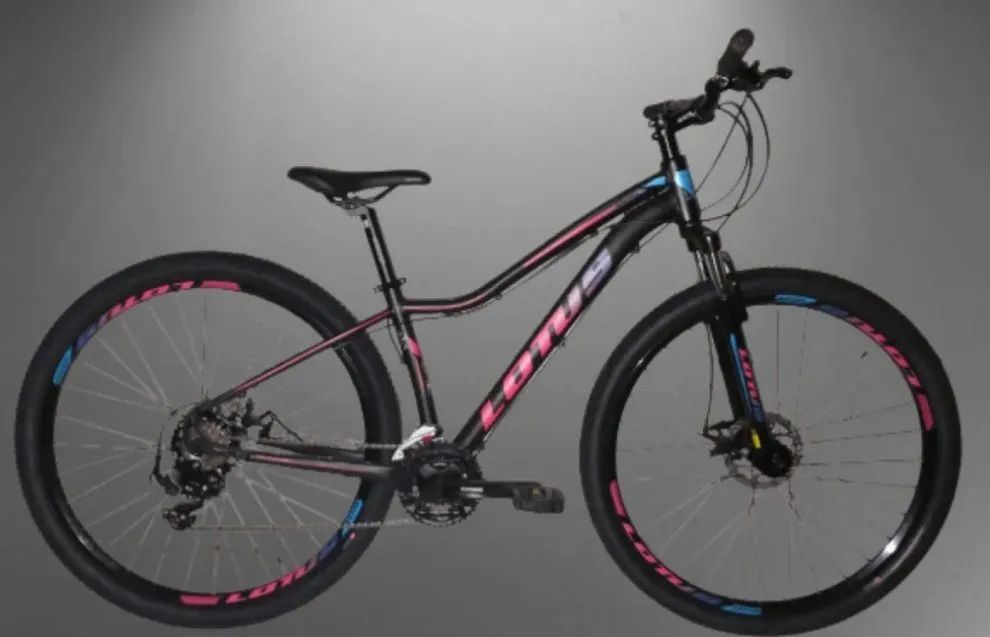 Bicicleta aro 29 Nova