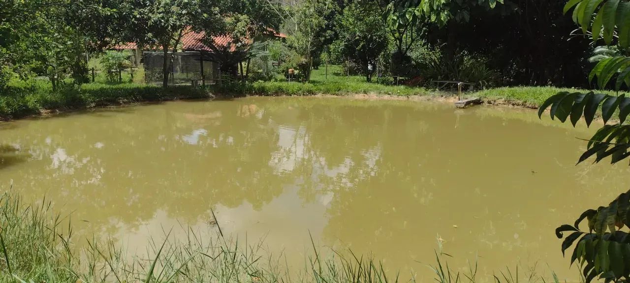 CHÁCARA DE 5 MIL M² COM LAGOA E RIBEIRÃO + CASA DE 03 QTS