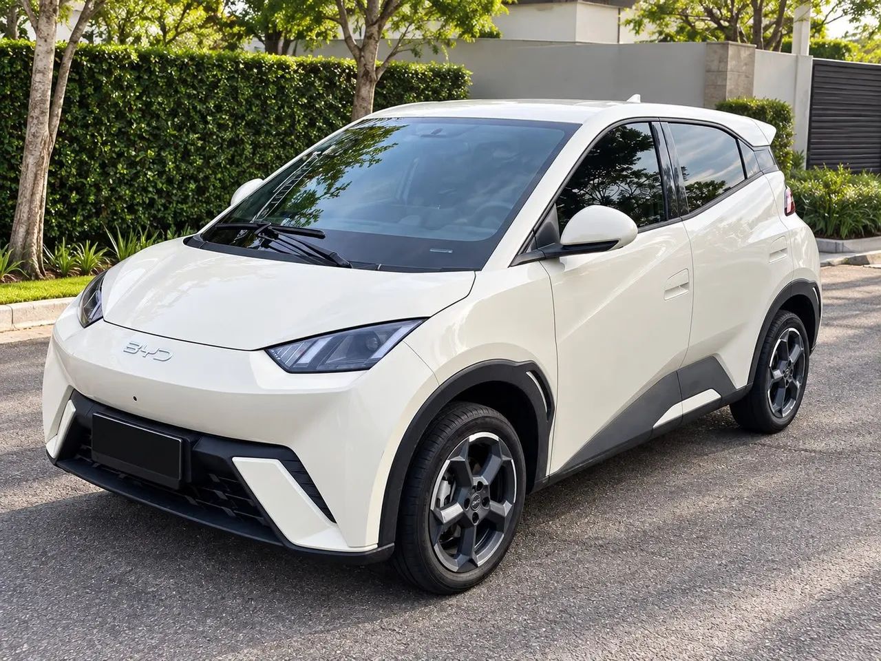 BYD Dolphin Mini (Elétrico) 2025 - Foto 3