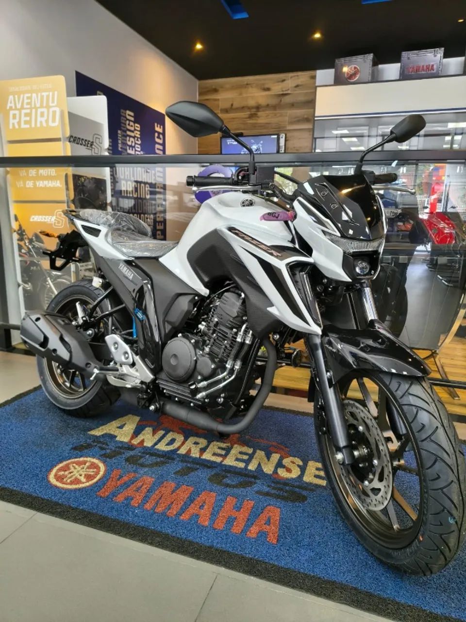 FZ 25 / Leandro - Foto 2