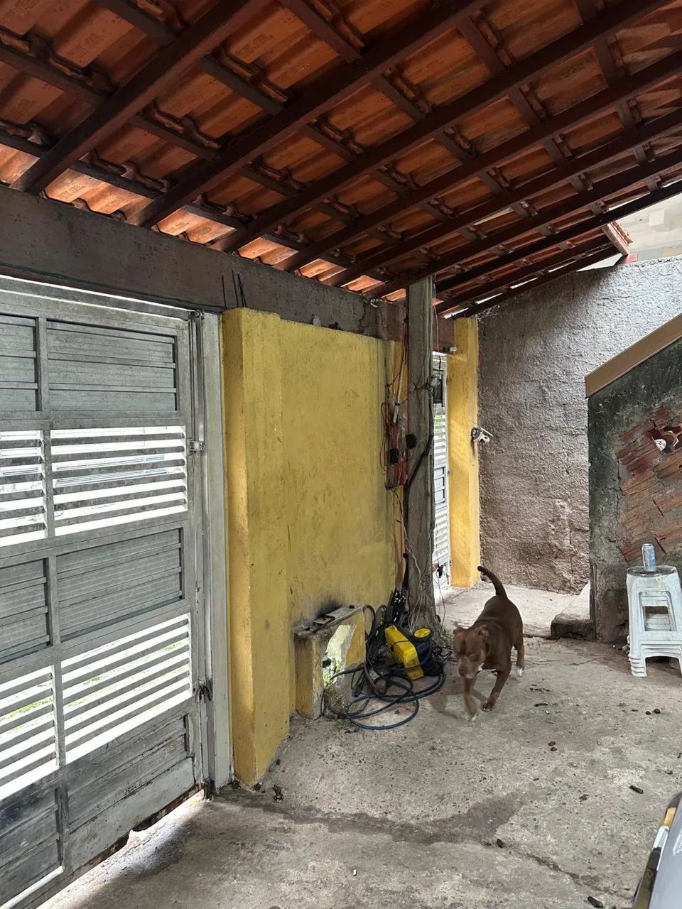 Foto - São Paulo - Jardim Reimberg