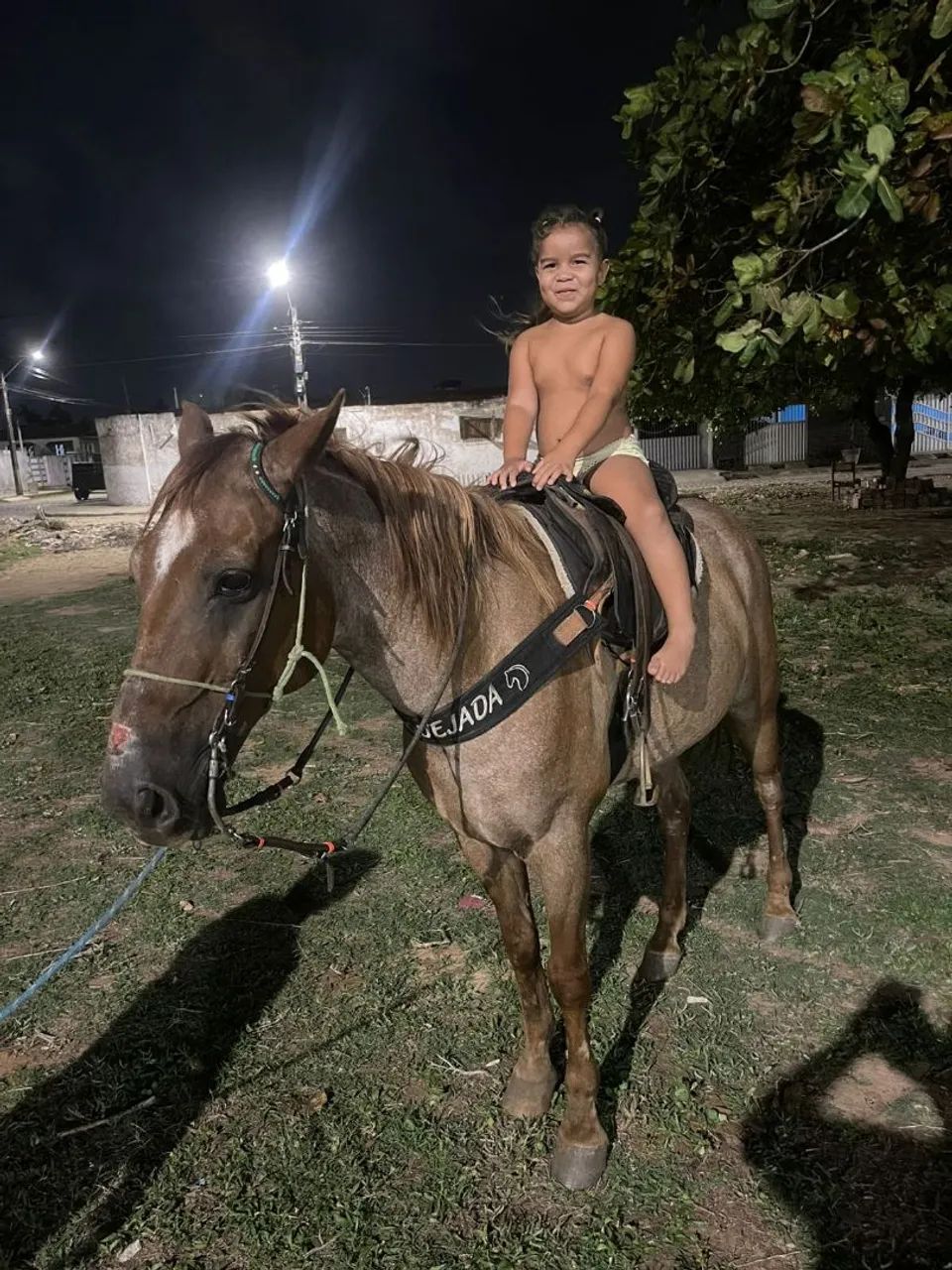Cavalo de direita 
