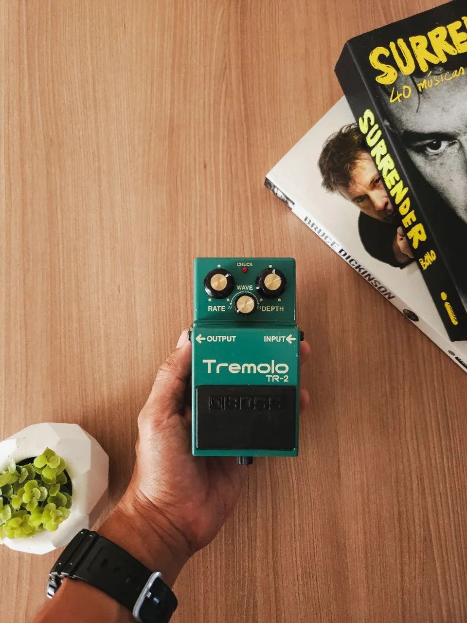 BOSS Tremolo TR-2  - Foto 2