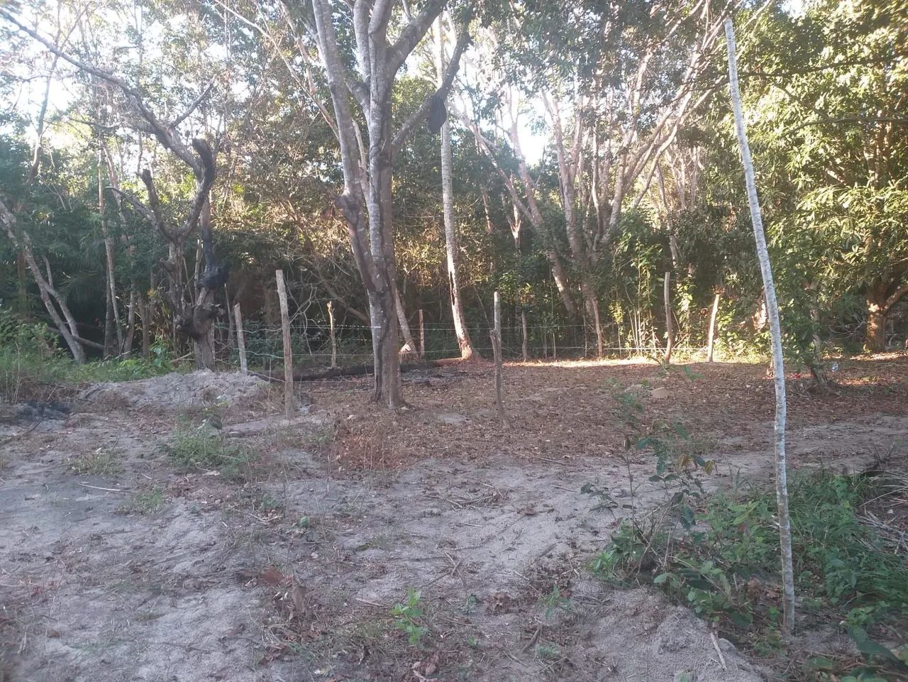 Imperdível  - Foto 5
