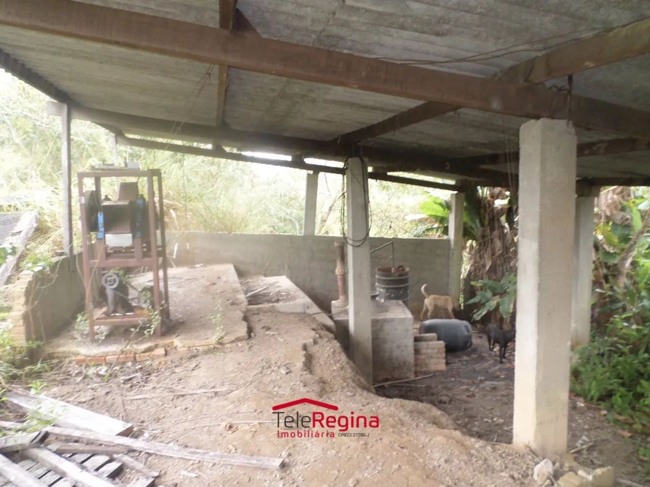 SÍTIO PARA VENDER EM CAÇAPAVA - Foto 5
