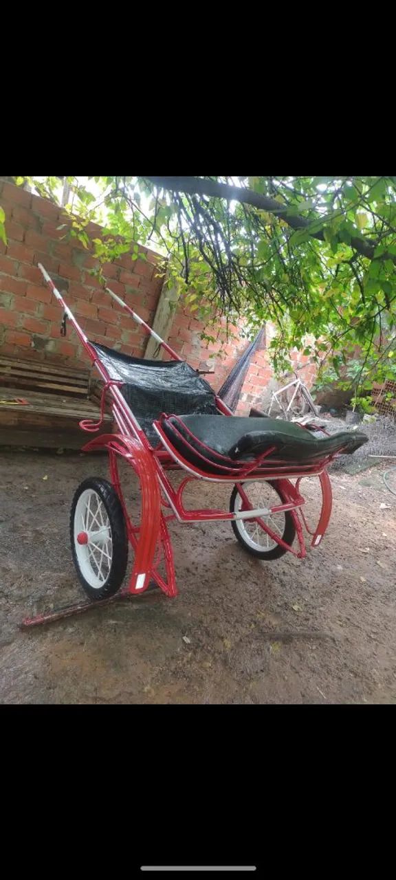 Charrete pra venda . - Foto 2