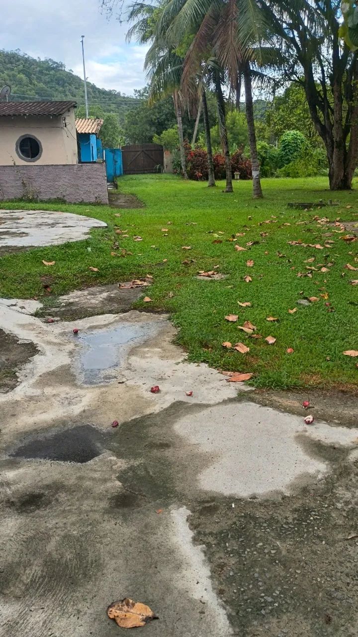 rocadeira Gasolina bom estado 