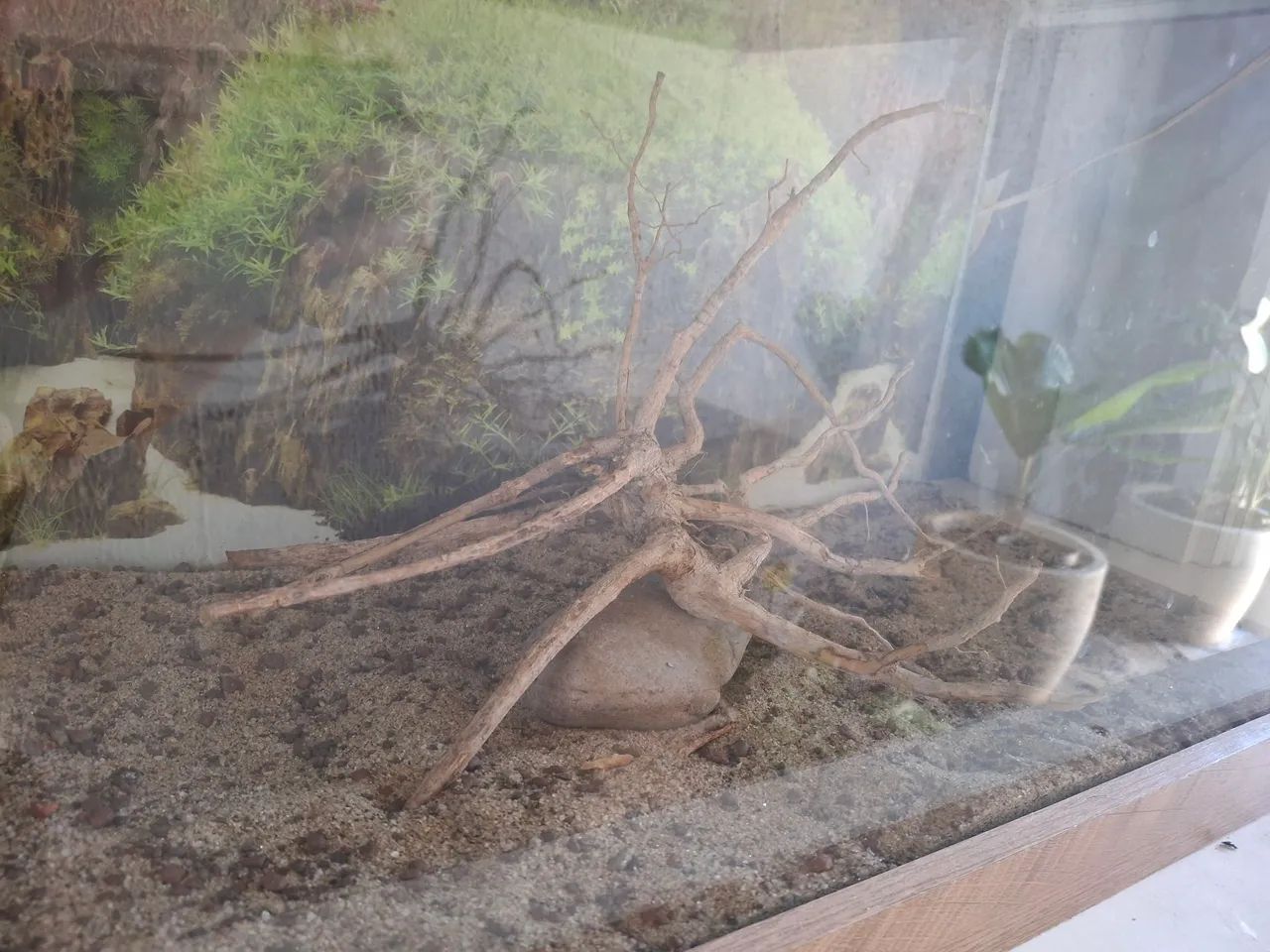 Aquário 50 cm com tampa e base de madeira  - Foto 2