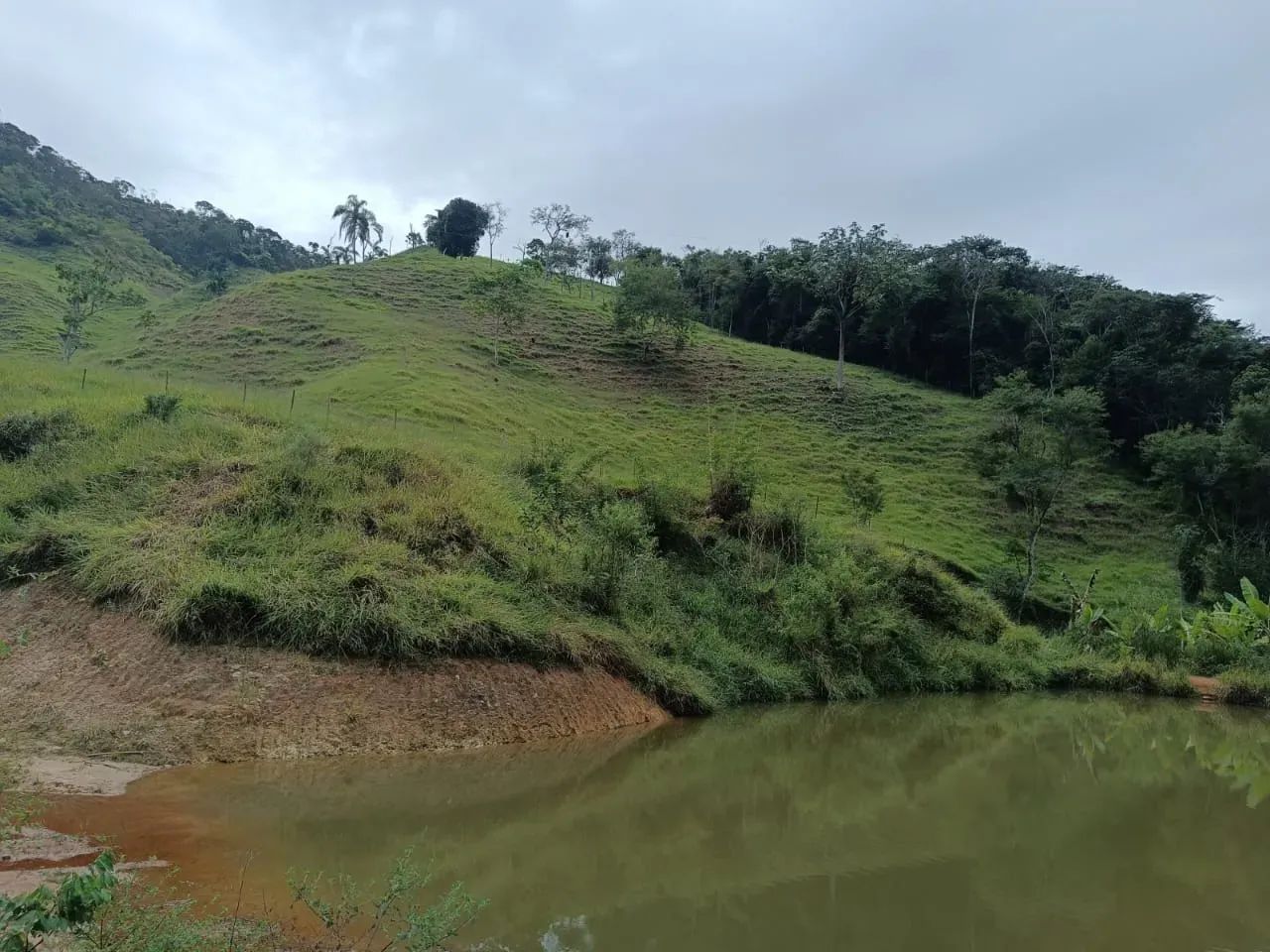 Sitio em Mariéria - Foto 5