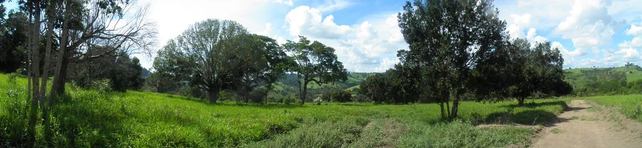 Foto - Divinópolis - Santo Antônio dos Campos