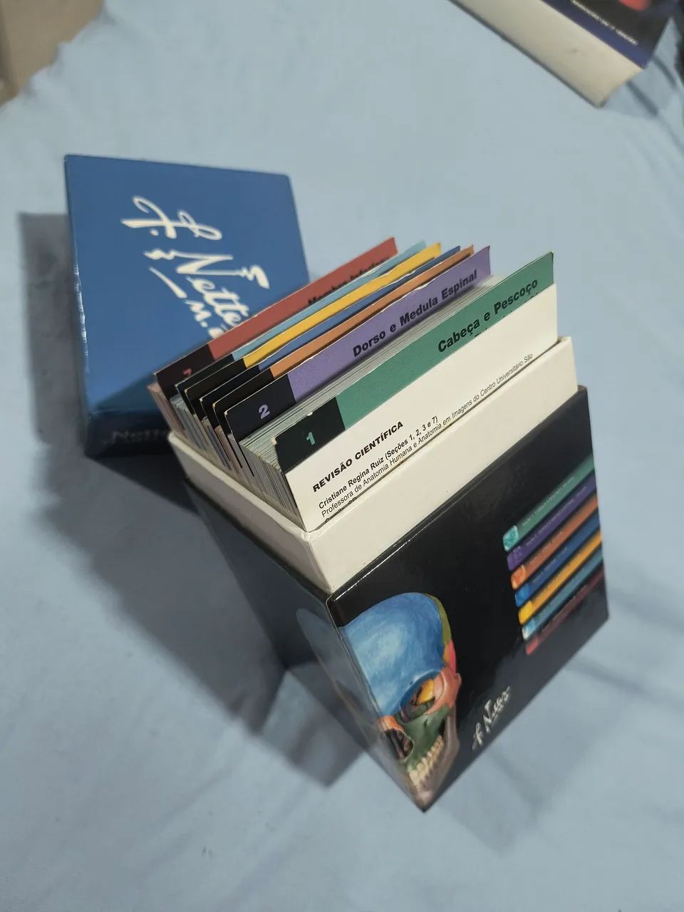 Livro Flash Card de Anatomia - Netter - Foto 2