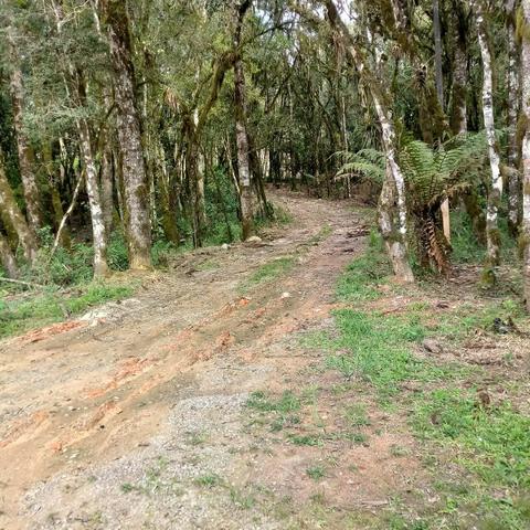 Chácara Campo Largo da Roseira - Foto 10