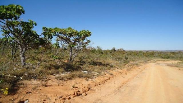 Fazenda no Alto Garças - Foto 2